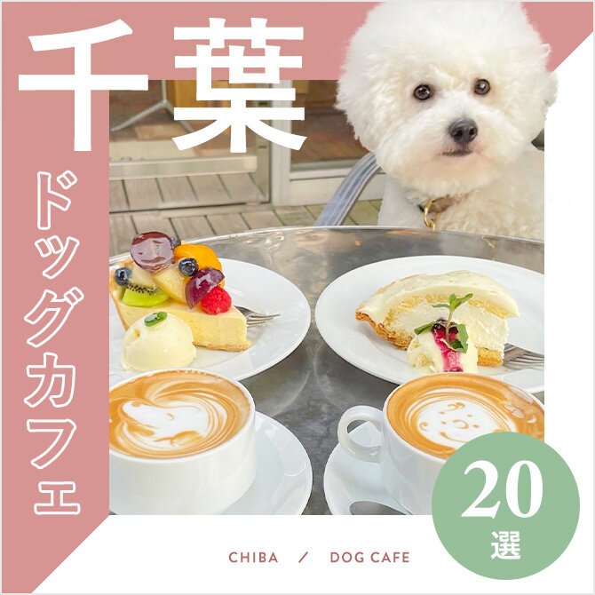 【ドッグカフェ千葉】千葉でおすすめのドッグカフェ20選！愛犬同伴OK！