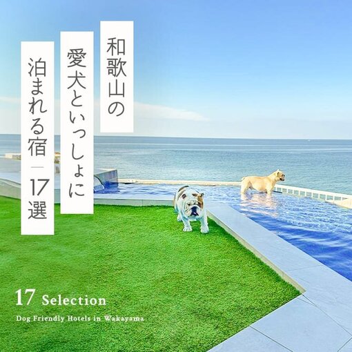 【和歌山の犬と泊まれる宿17選】和歌山で人気のペットと泊まれる宿｜最新版