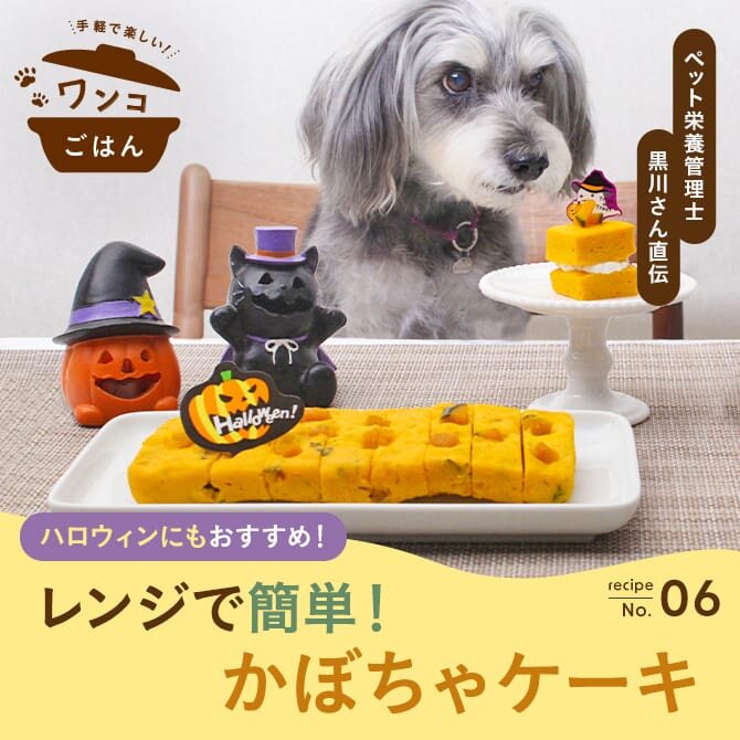 【愛犬薬膳ご飯】ハロウィンにもおすすめ！「レンジで簡単！かぼちゃケーキ」
