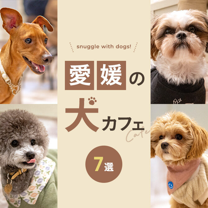 【愛媛の犬と触れ合える場所7選】犬カフェなど愛媛で犬と触れ合える場所