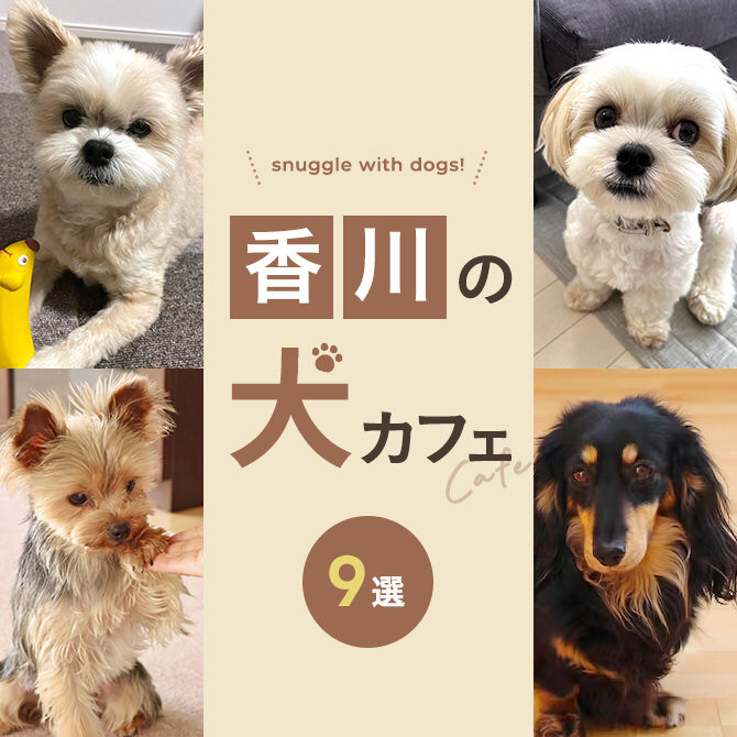 【香川の犬と触れ合える場所9選】犬カフェなど香川で犬と触れ合える場所