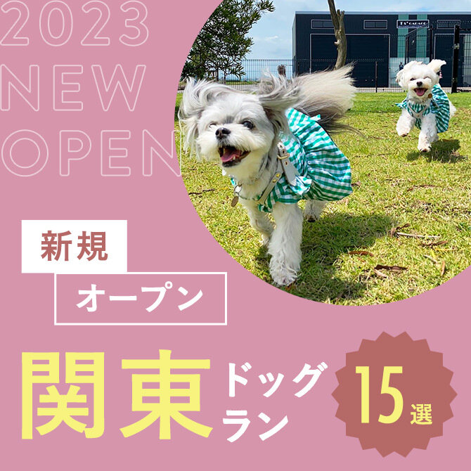 【新規オープンのドッグラン15選】関東で新しく開設されたドッグラン！ドッグカフェやスタジオ併設も！