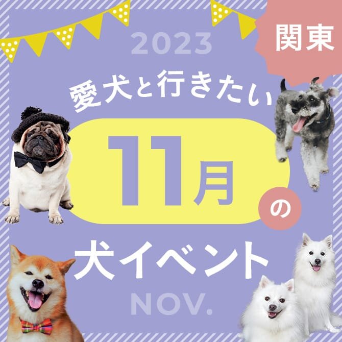 【2023年11月】関東で愛犬と行きたいイベント25選