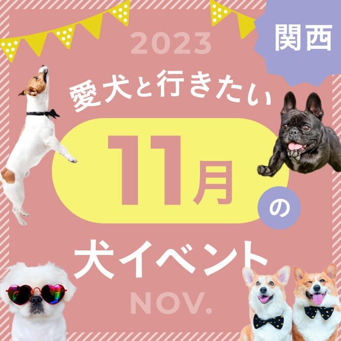 【2023年11月】関西で愛犬と行きたいドッグイベント13選