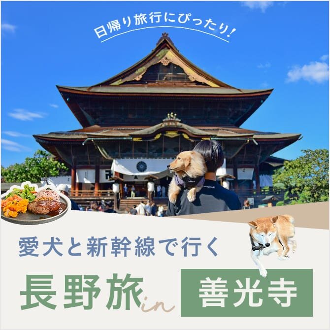 【愛犬と行く長野善光寺】参拝ルールからおすすめランチスポットまで詳しくレポート！