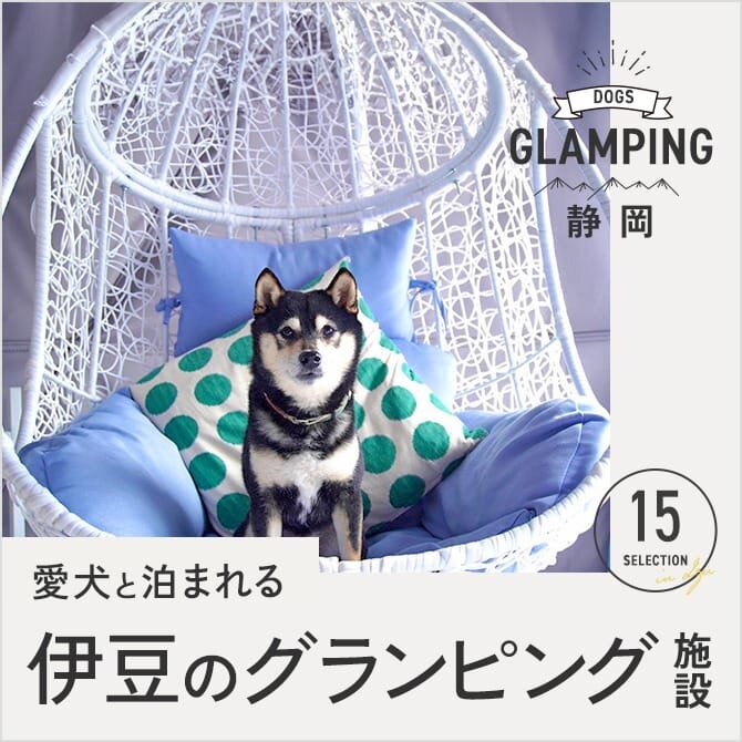 【伊豆・静岡のペット可・犬連れOKのグランピング施設15選】愛犬と泊まれるドッググランピング