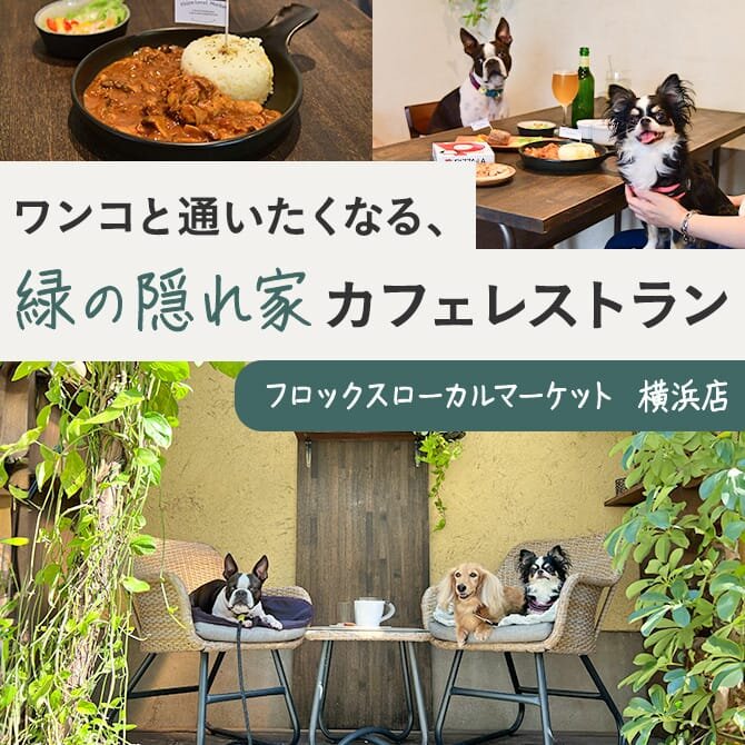 【フロックスローカルマーケット 横浜店】横浜駅徒歩7分！犬同伴OK！緑に覆われた隠れ家カフェレストラン