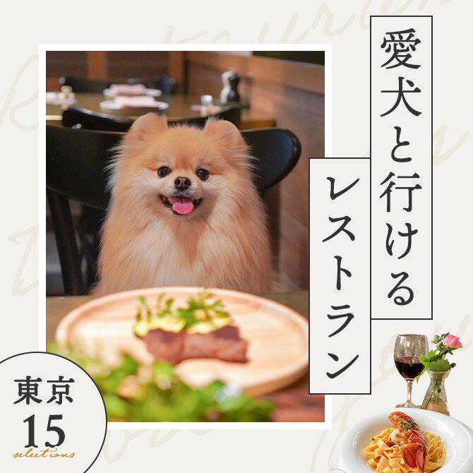 【東京で犬と行けるレストラン】店内OK！ワンコメニューのあるレストランも！