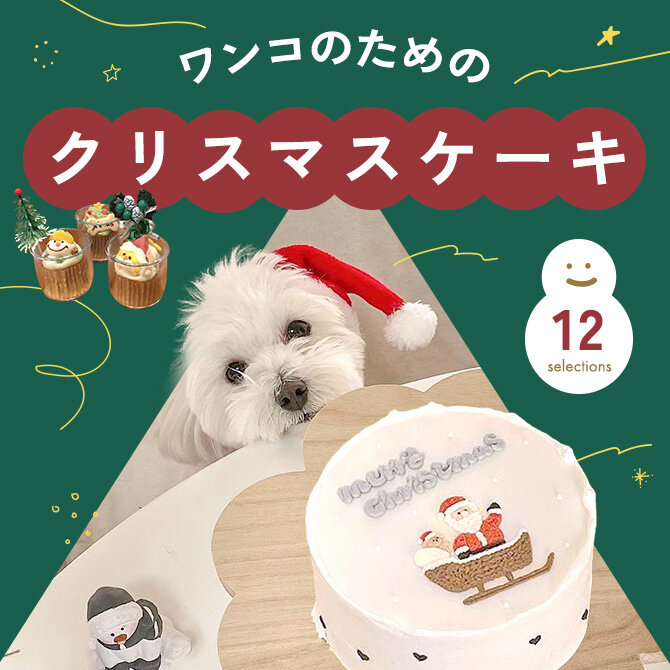 【犬用クリスマスケーキ12選】愛犬におすすめのペット用クリスマスケーキをご紹介！