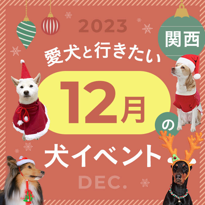 【2023年12月】関西で愛犬と行きたいドッグイベント9選