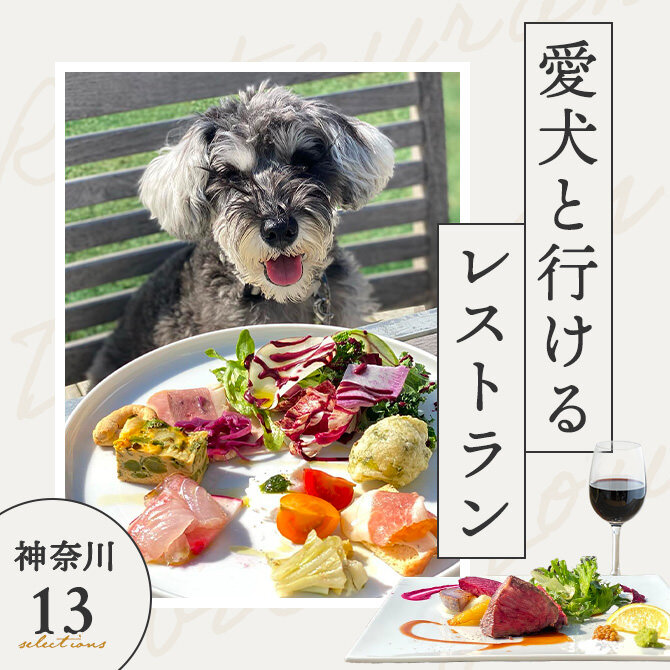 【神奈川で愛犬と行けるレストラン13選】店内OK！ワンコメニューのあるレストランも！