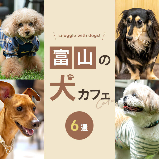 【富山の犬と触れ合える場所6選】犬カフェなど富山で犬と触れ合える場所