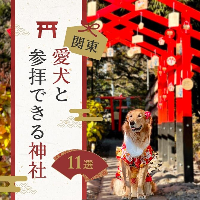 【愛犬と初詣】関東の犬同伴で参拝可能な神社とお寺｜2024年版