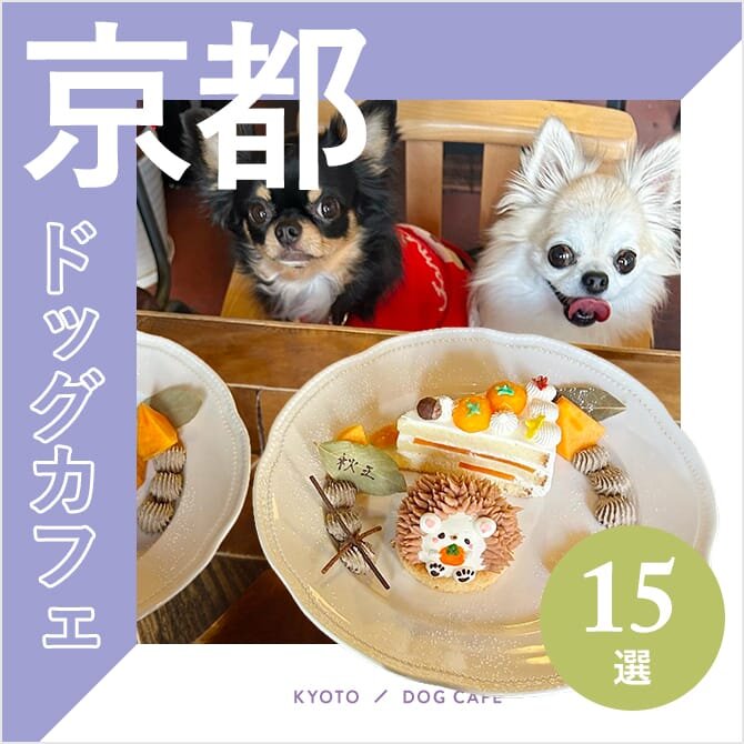 【ドッグカフェ京都】京都でおすすめのドッグカフェ15選！店内同伴OKや新規オープンのカフェも！