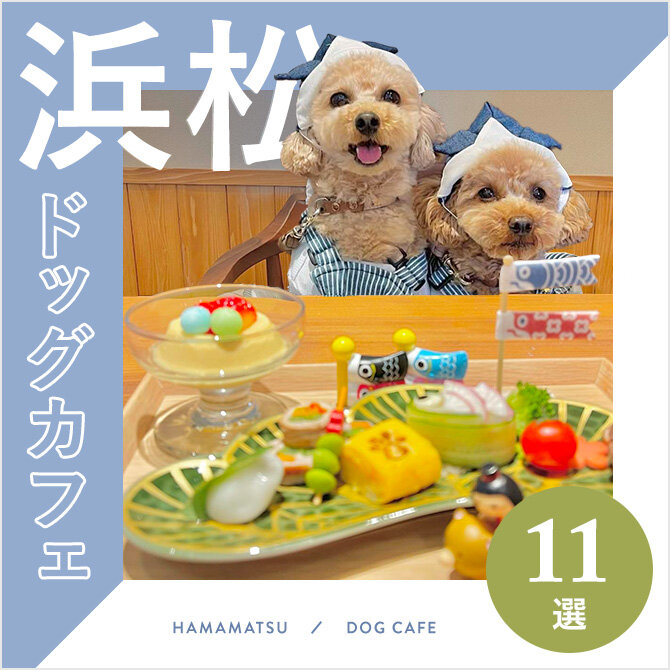 【浜松ドッグカフェ】静岡県浜松市のおすすめドッグカフェ11選！大型犬店内同伴OKも！｜2023年版