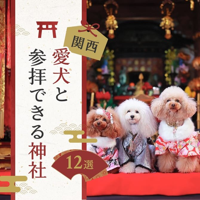 【愛犬と初詣】関西の犬同伴で参拝可能な神社とお寺｜2024年版