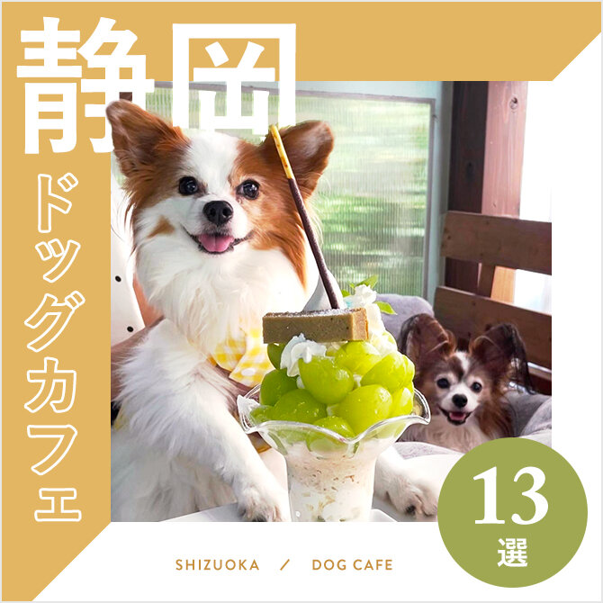 【静岡ドッグカフェ13選】大型犬店内同伴OK！ドッグラン併設も！