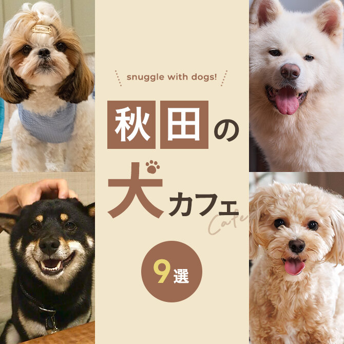 【秋田の犬と触れ合える場所9選】犬カフェなど秋田で犬と触れ合える場所