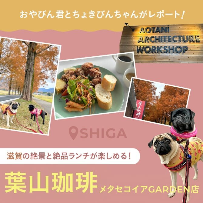 【滋賀県高島市のドッグカフェ】葉山珈琲メタセコイアGARDEN店