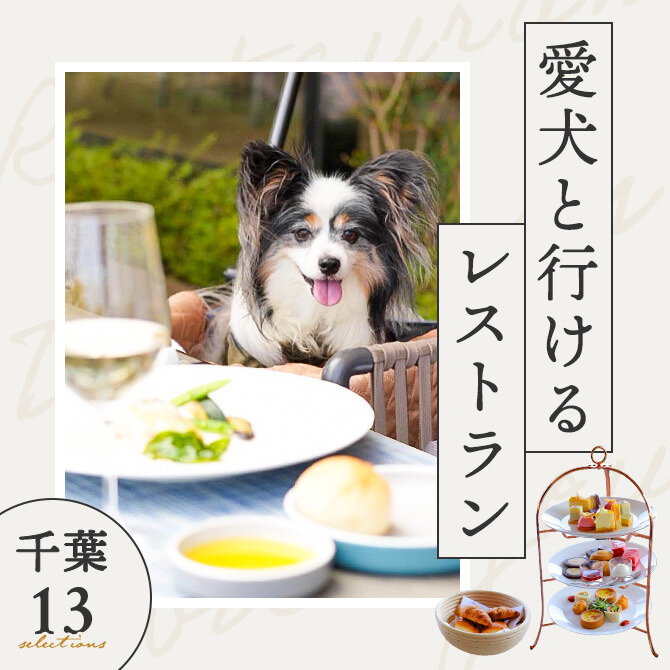 【千葉で犬と行けるレストラン13選】店内同伴OK！ワンコメニューのあるレストランも！