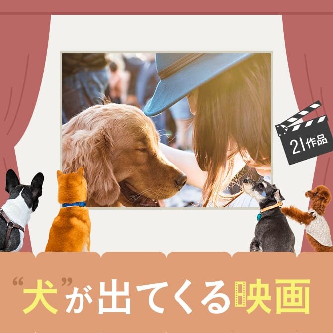 【犬映画21選】ワンコ好きにおすすめな犬がでてくる犬映画｜2024年最新版