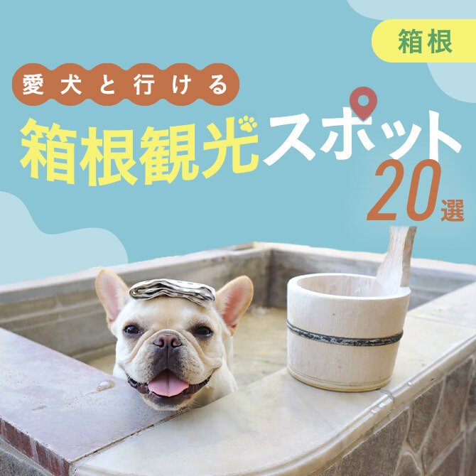 【箱根の犬連れでいける観光スポット20選】箱根の愛犬といけるお出かけスポット・ランチ！