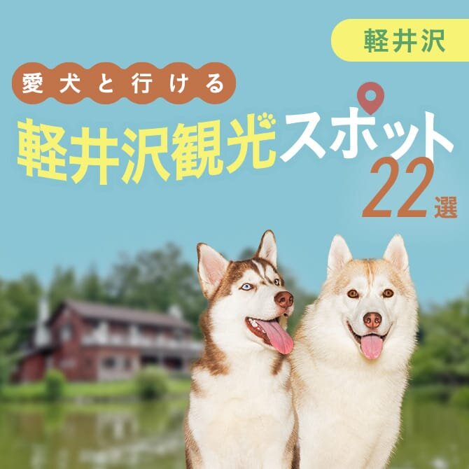 【軽井沢の犬連れでいける観光スポット22選】軽井沢の愛犬といけるお出かけスポット・ランチ！