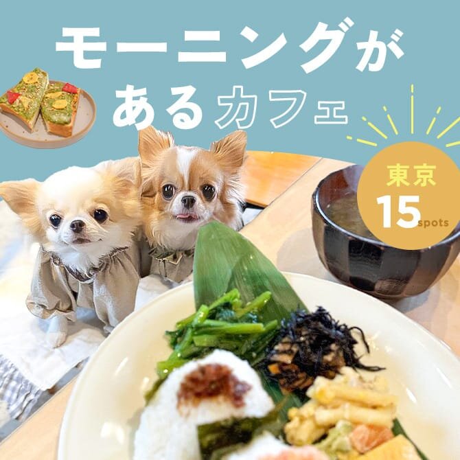 【東京で人気のモーニング15選】犬と行けるカフェ｜2024年最新版