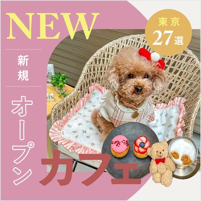【2023年新規オープンカフェ】話題の愛犬と行ける最新カフェ