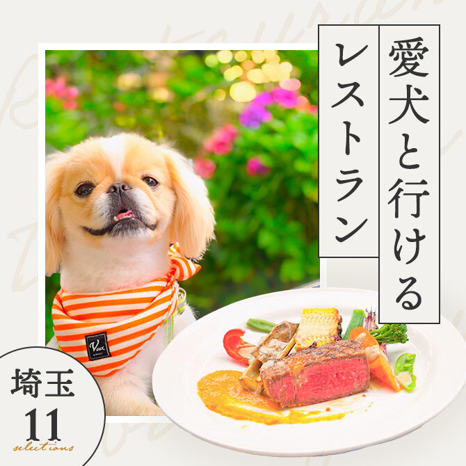 【埼玉で犬と行けるレストラン11選】店内OK！ワンコメニューのあるレストランも！