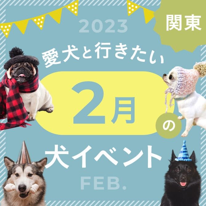 【2024年2月】関東で愛犬と行きたいドッグイベント14選
