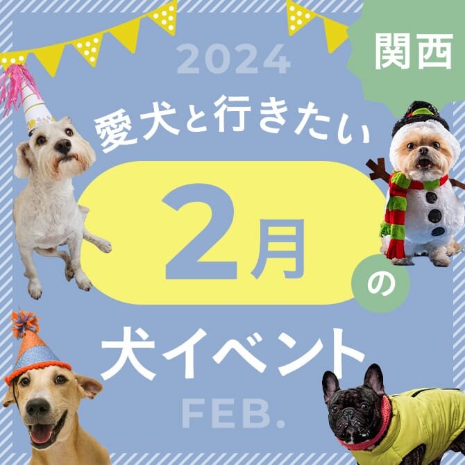 【2024年2月】関西で愛犬と行きたいドッグイベント7選