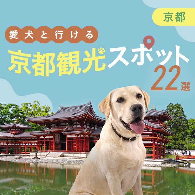 【京都の愛犬といける観光スポット22選】京都の犬連れOKのおでかけスポット・施設まとめ