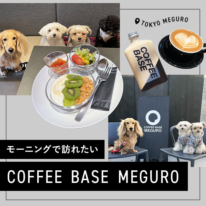 【Coffee  Base  MEGURO】大型犬も店内同伴OK！モーニングのある無機質カフェ