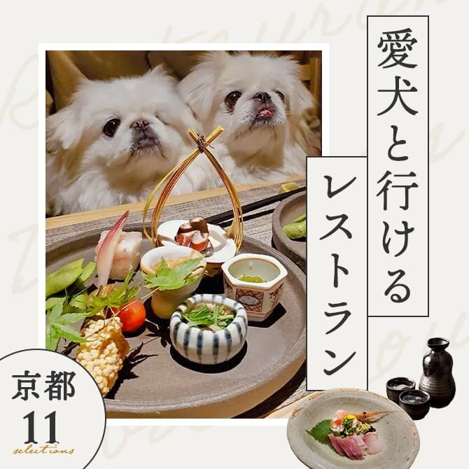 【京都で犬と行けるレストラン11選】店内OK！ワンコメニューのあるレストランも！
