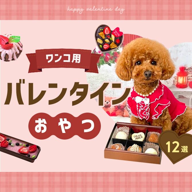 【犬用バレンタインおやつ12選】人気のチョコレート風おやつやケーキ｜2024年版