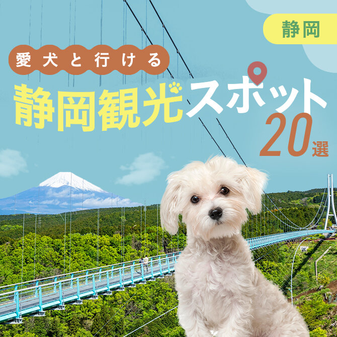【静岡の愛犬といける観光スポット20選】犬連れOKのおでかけスポット・施設まとめ