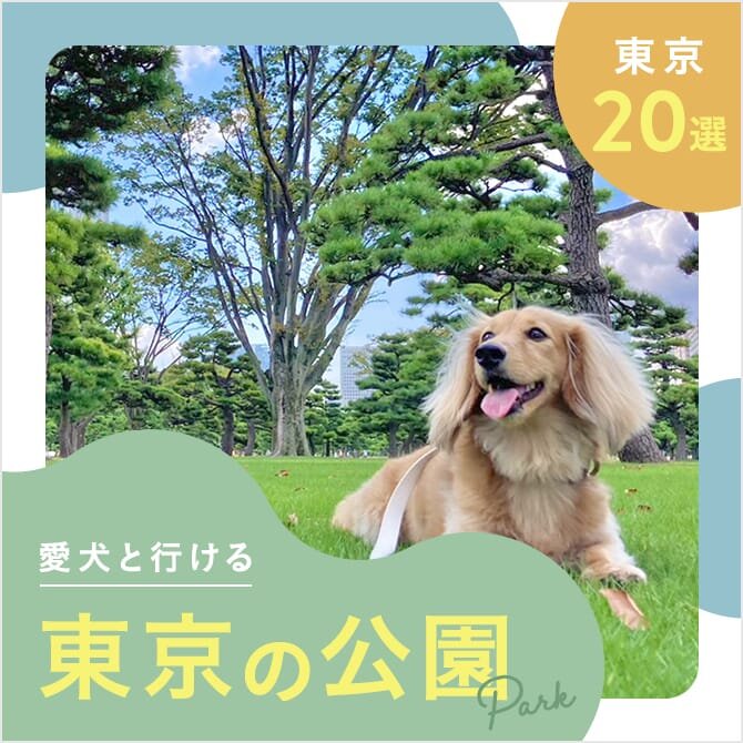 【東京の犬と行ける公園20選】ドッグランのある公園やおでかけにおすすめな公園