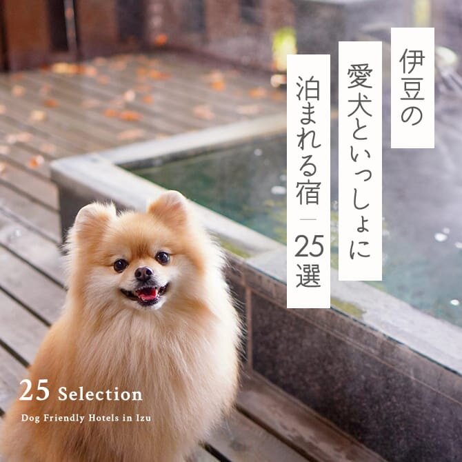 【伊豆の犬と泊まれる宿25選】伊豆で人気のペットと泊まれる宿｜2024年最新