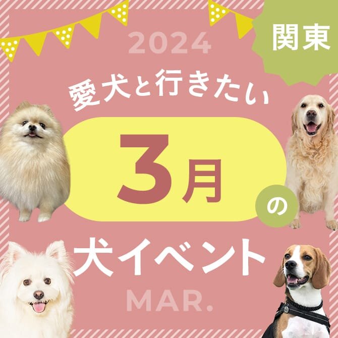 【2024年3月】関東で愛犬と行きたいドッグイベント26選