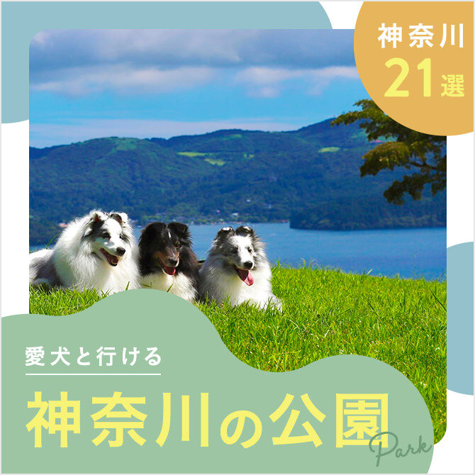 【神奈川の犬と行ける公園21選】ドッグランのある公園やおでかけにおすすめな公園