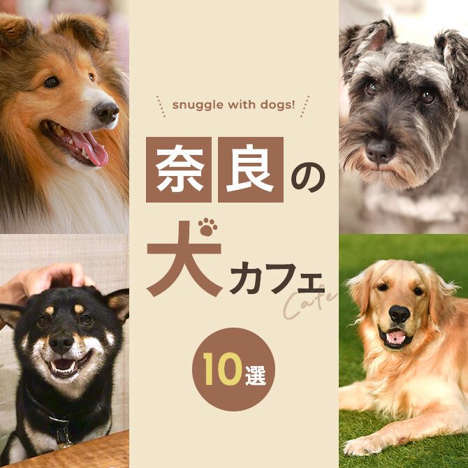 【奈良の犬と触れ合える場所10選】犬カフェなど奈良で犬と触れ合える場所