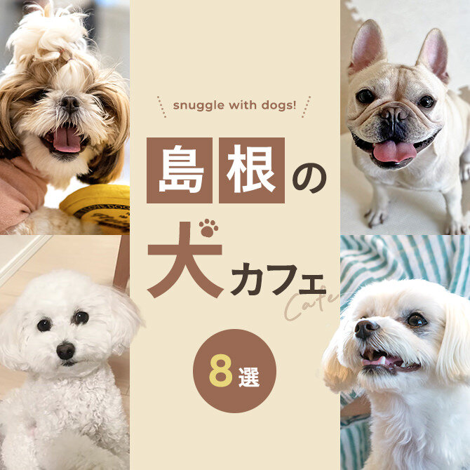【島根の犬と触れ合える場所8選】犬カフェなど島根で犬と触れ合える場所