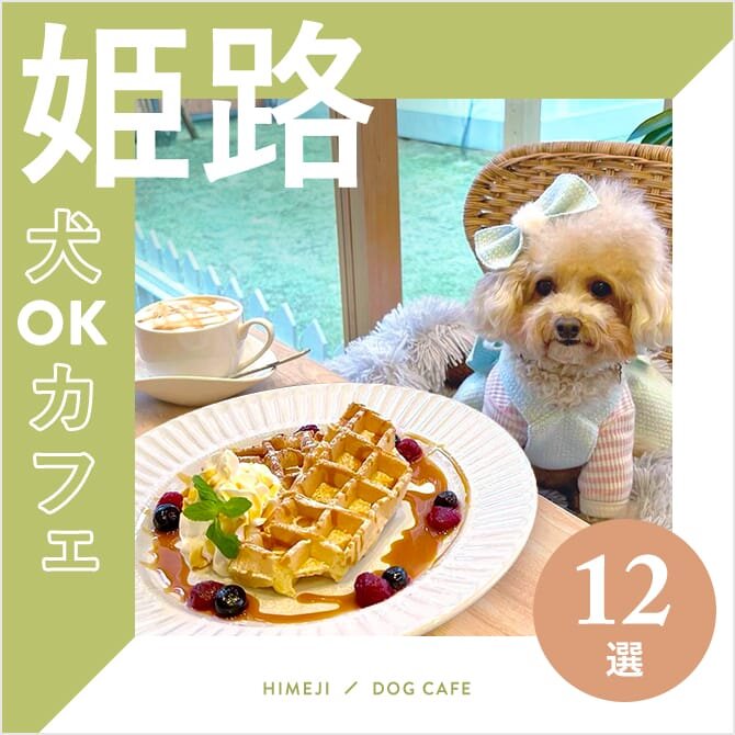 【姫路のドッグカフェ・犬と行けるカフェ12選】大型犬店内同伴OK！ドッグラン併設も！