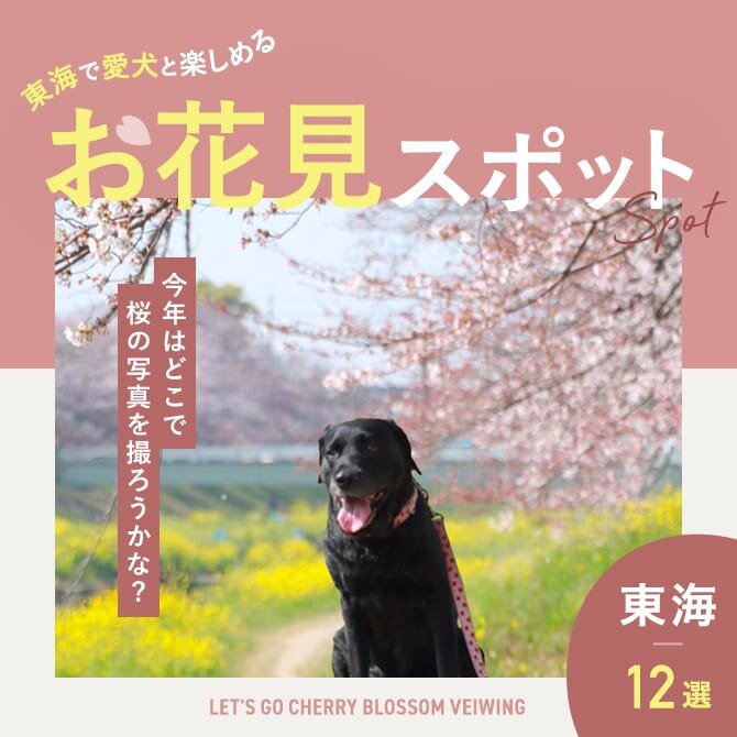 【東海のお花見スポット12選】犬と行ける桜の名所