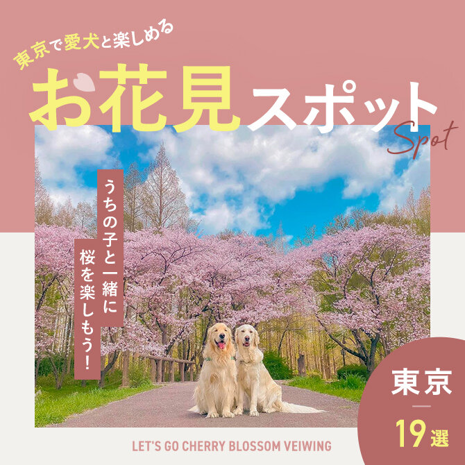 【東京のお花見スポット19選】犬と行ける桜の名所