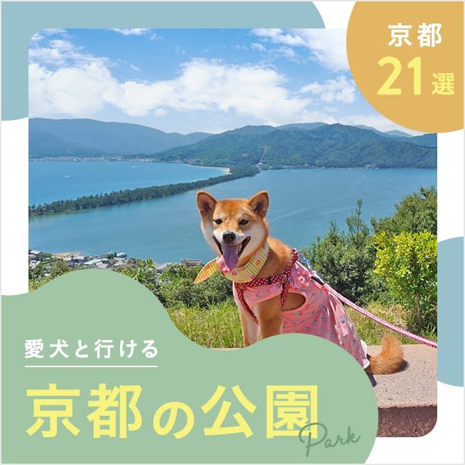 【京都の犬と行ける公園21選】ドッグランのある公園やおでかけにおすすめな公園