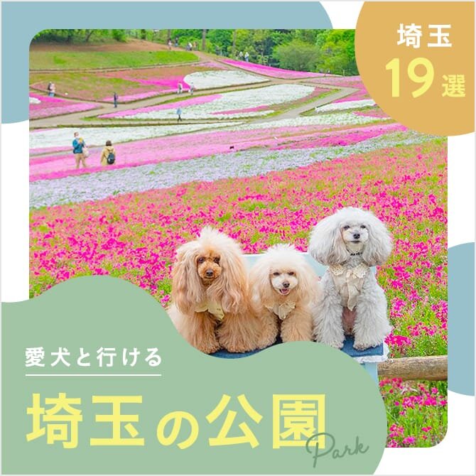 【埼玉の犬と行ける公園19選】ドッグランのある公園やおでかけにおすすめな公園