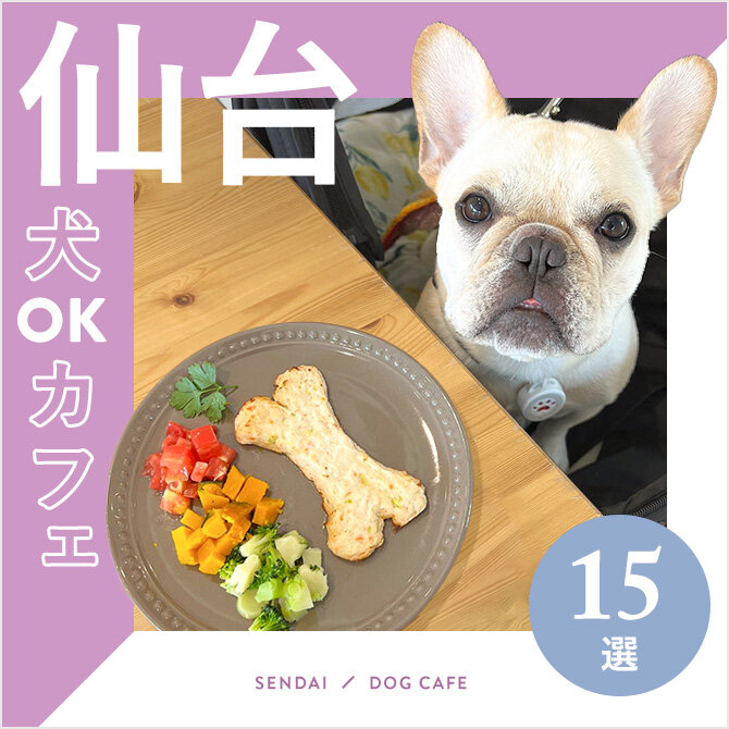 【仙台の犬と行けるカフェ15選】ワンコメニューのあるカフェやドッグラン付きも！