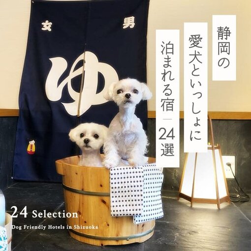 【静岡の犬と泊まれる宿 24選】静岡で人気のペットと泊まれる宿｜2024年最新